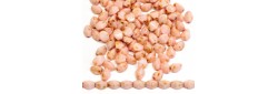 Pohanka 5mm 02018680034301