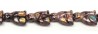111-88-967 19/13mm 239/wild cat4