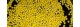 ROMANO 3,4mm 83110 mat 28701 