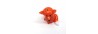 Fox 19/13mm