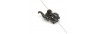 Baby elephant 20/22mm