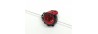 Ladybug 14mm