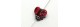 Ladybug 14mm