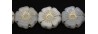 111-88-512 20mm 02010/54202