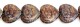 111-88-894 16mm 00030 8680034307