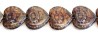 111-88-894 16mm 00030 8680034307