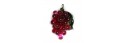 Obrázek (1)