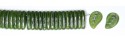 111-88-903 14/9mm 56108 54201