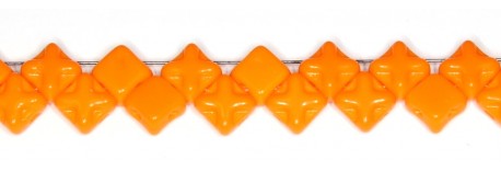 Obrázek (1)