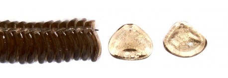 111-88-934 14/13mm 50316
