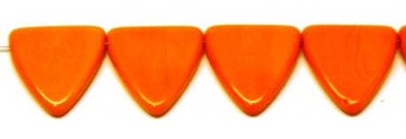 Obrázek (1)