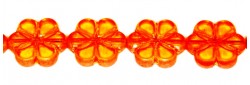 Obrázek (1)