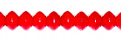 Obrázek (1)