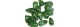 111-88-898 14/8mm LAVA GREEN