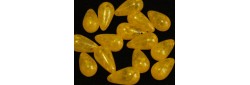 Obrázek (1)
