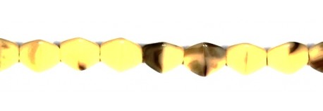 Obrázek (1)