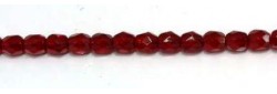 Obrázek (1)