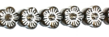 Obrázek (1)