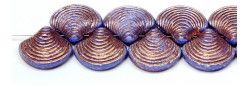SHELL V 15/18mm 34010 54200