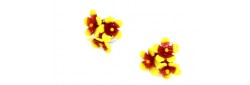 120-ear 11632 1,5cm