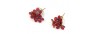 120-ear 11633 1,5cm