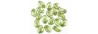 111-88-584 14/10mm 50800 54202