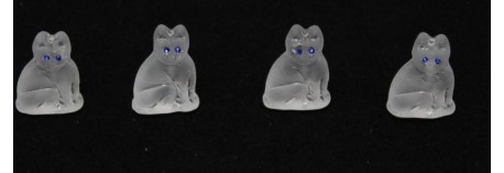 ICE CAT SAPPHIRE EYE