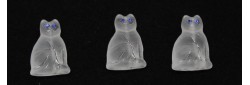 ICE CAT SAPPHIRE EYE