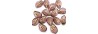 111-88-584 14/10mm 51010 54202