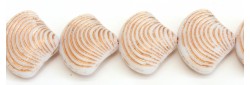 Shell 18/15mm 0201mat54200