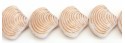 Shell 18/15mm 0201mat54200