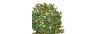 Romano 3,2mm 52110 27105