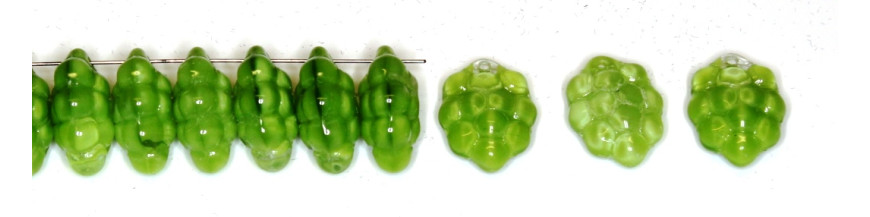 Fruits 